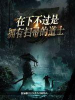 在下不过是拥有扫帚的道士封面