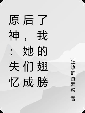 原神：失忆后，她们成了我的翅膀封面