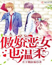 傲娇恶女也温柔封面