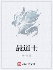 最道士封面