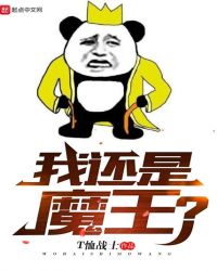我还是魔王封面
