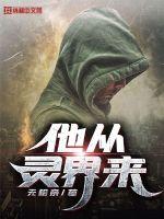 他从灵界来封面