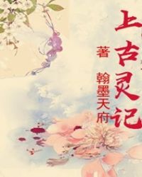 清风逝水灵如羽封面