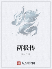 两极传封面