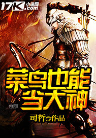 菜鸟也能当大神封面