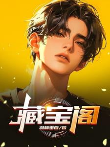 藏宝阁封面