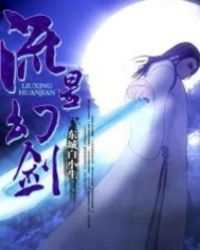 流星幻剑封面