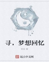 寻，梦想回忆封面