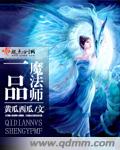 一品魔法师封面