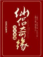 仙侣奇缘:冥石水晶封面