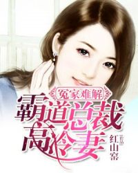 冤家难解：霸道总裁高冷妻封面