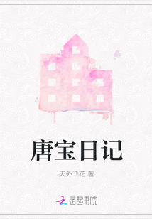 唐宝日记封面