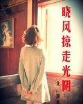 晓风掠走光阴封面