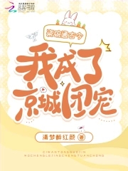 瓷碗通古今，我成了京城团宠封面