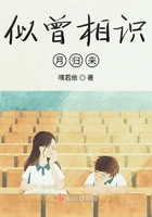 似曾相识月归来封面