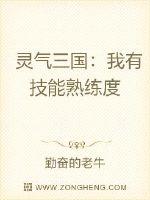 灵气三国:我有技能熟练度封面