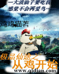 极品仙途之从鸡开始封面