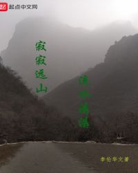 寂寂远山流水潺潺封面
