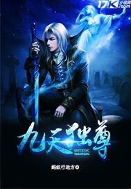 九天独尊封面