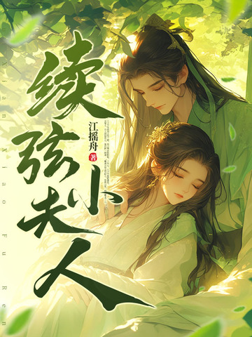 续弦小夫人封面