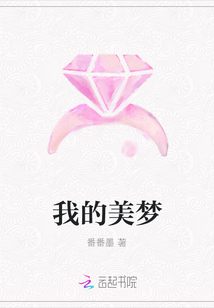 我的美梦封面