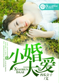 小婚大爱封面