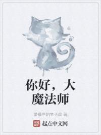 你好，大魔法师封面