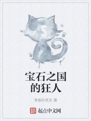 宝石之国的狂人封面