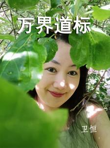 万界道标封面