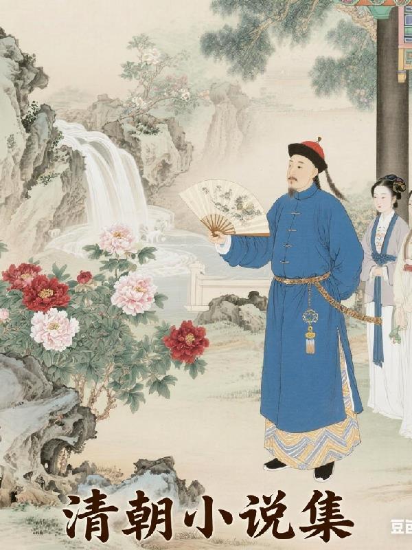 清朝小说集封面