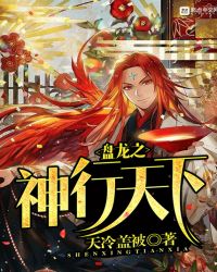 盘龙之神行天下封面