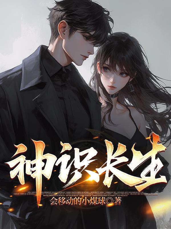 神识长生封面