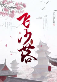 飞纱落封面