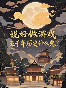 说好做游戏，五千年历史什么鬼？封面