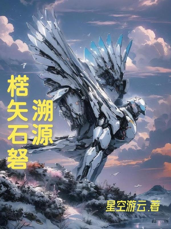 溯源楛矢石砮封面