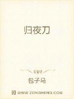 归夜刀封面