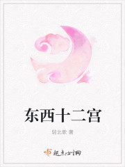 东西十二宫封面