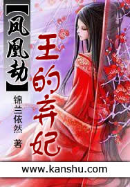 凤凰劫：王的弃妃封面