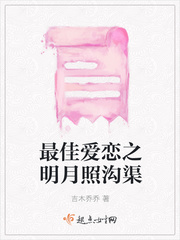 最佳爱恋之明月照沟渠封面