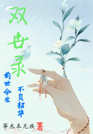 双世录封面