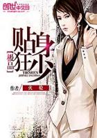 极品贴身狂少封面