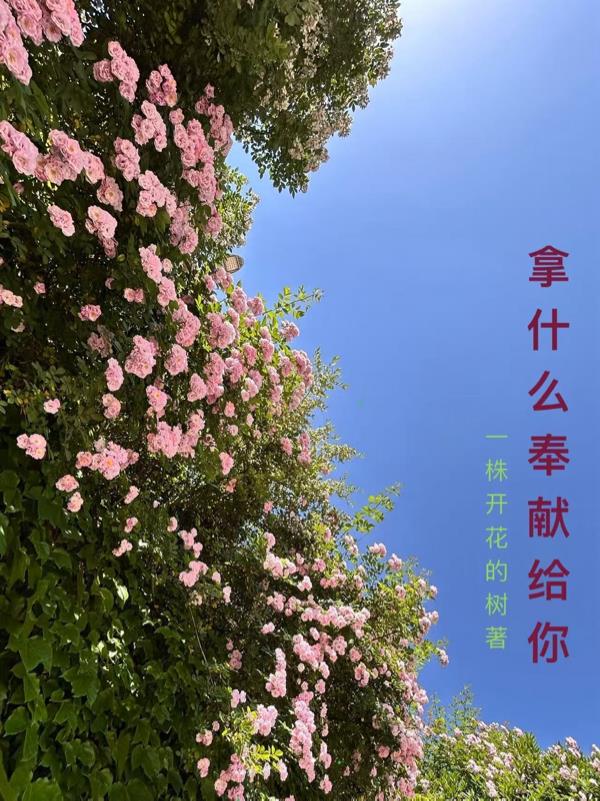 拿什么奉献给你封面