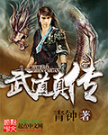 武道真传封面