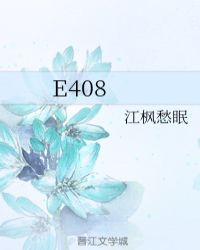 E408封面