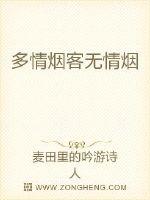多情烟客无情烟封面
