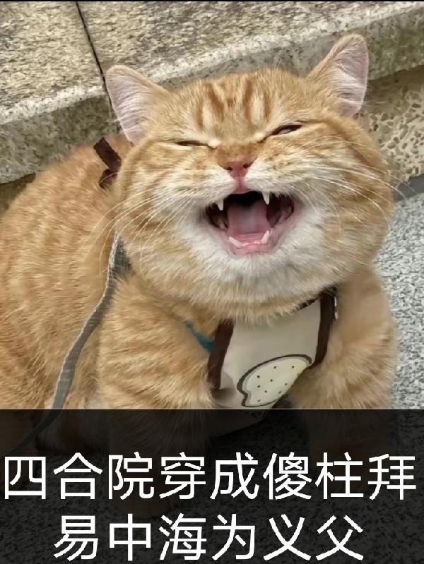 四合院穿成傻柱拜易中海为义父封面