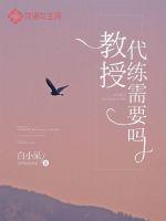 教授,代练需要吗?封面