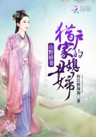 山野娇妻：猎户家的丑媳妇封面