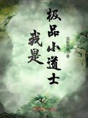 我是极品小道士封面