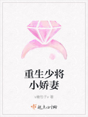 重生少将小娇妻封面